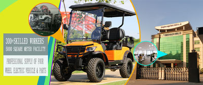 গুণ বৈদ্যুতিক পর্যটন কার কারখানা