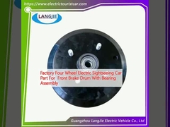 কারখানার চার চাকার বৈদ্যুতিক দর্শনীয় স্থান গাড়ির অংশ