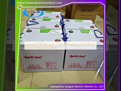 লিড এসিড কার ব্যাটারি 6V 170AH মার্শেল ফর ক্লাব কার গলফ কার্ট পার্টস এবং আনুষাঙ্গিক